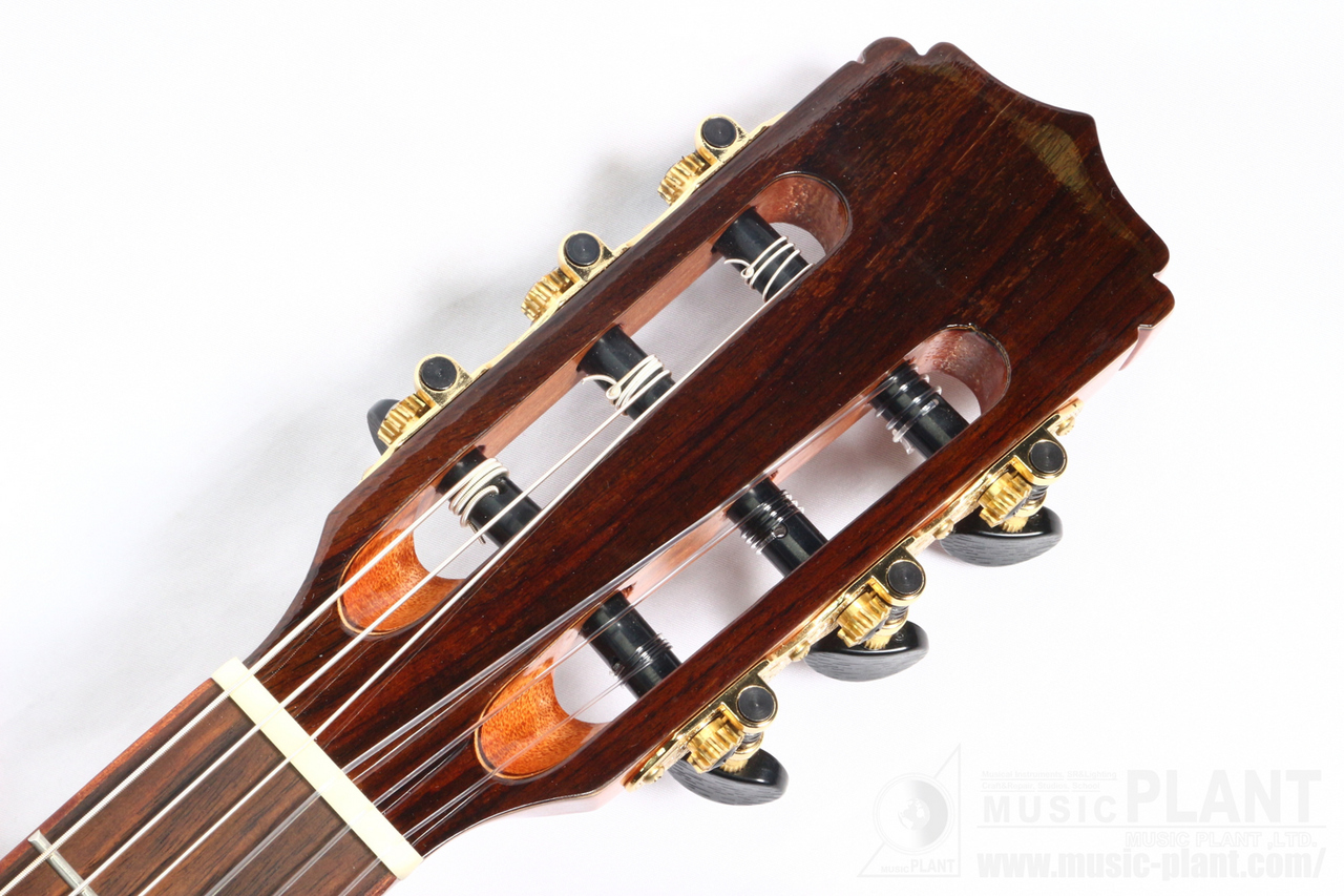 新品同様 ARIA A-48CE N Basic エレクトリッククラシックギター - アコースティックギター