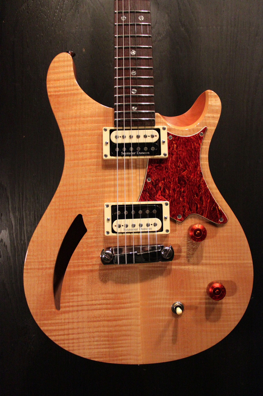 Paul Reed Smith(PRS) SE Custom 22 Semi Hollow 2010（中古）【楽器
