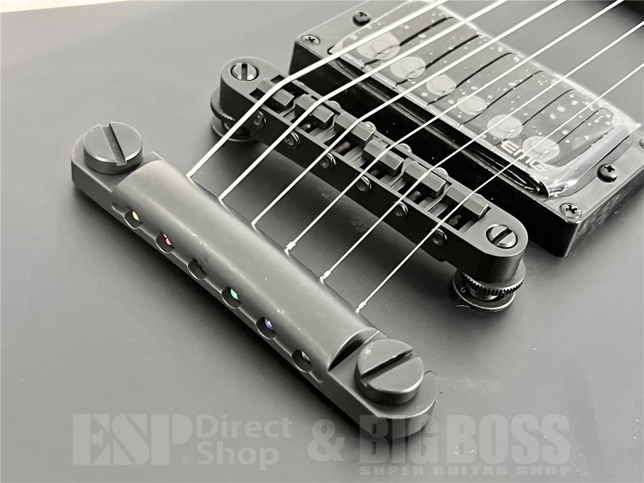 LTD SNAKEBYTE Black Satin (METALLICA/James Hetfieldモデル)（新品