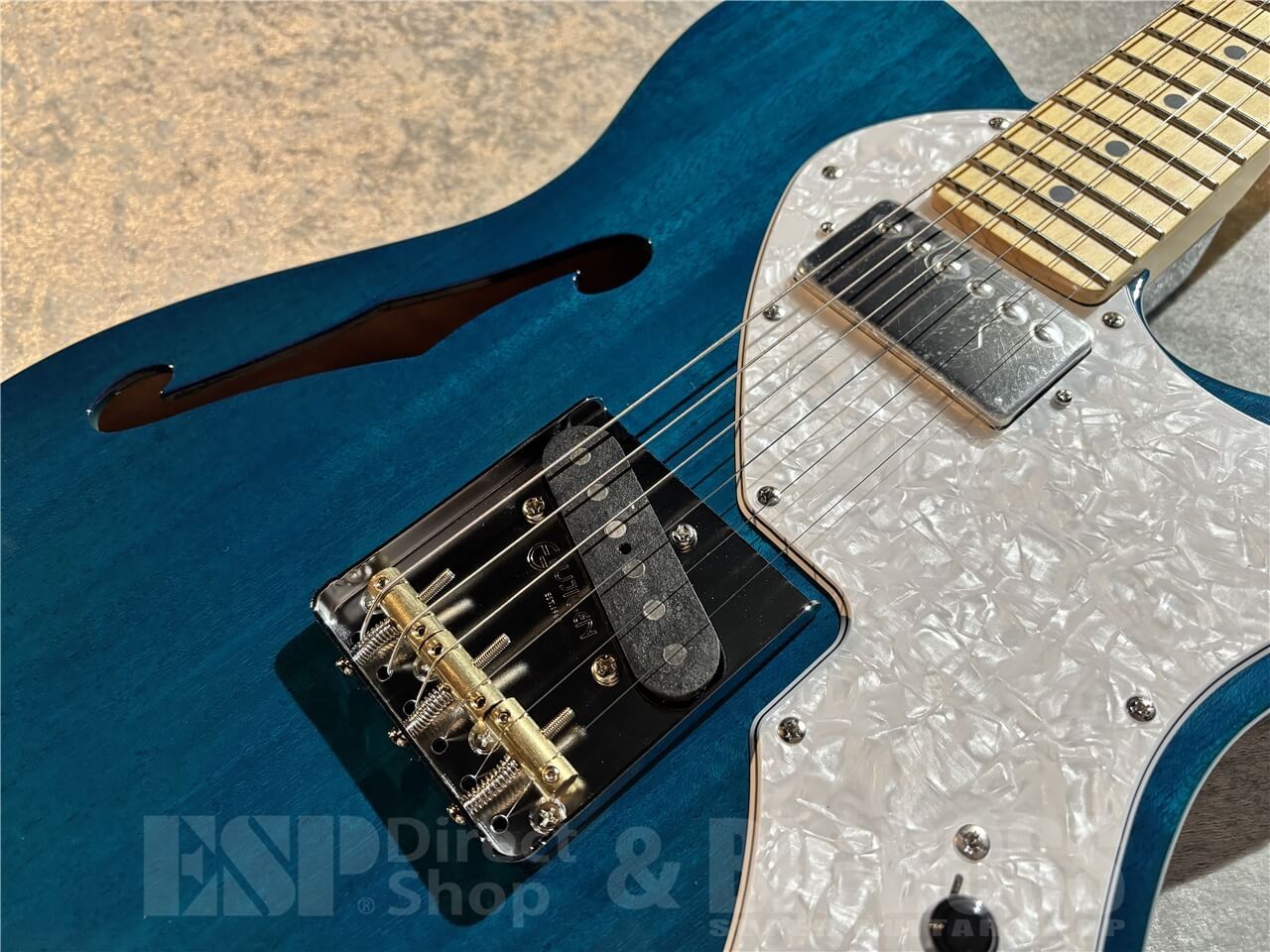 FUJIGEN(FGN) Neo Classic NTE110MMHT-TBL（新品/送料無料）【楽器検索