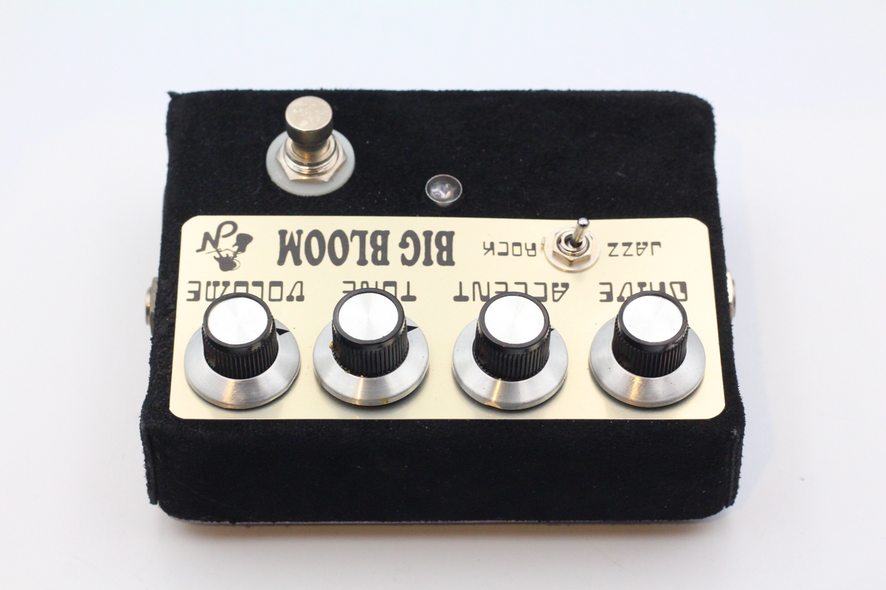 AMPLIFIED NATION BIG BLOOM（中古）【楽器検索デジマート】