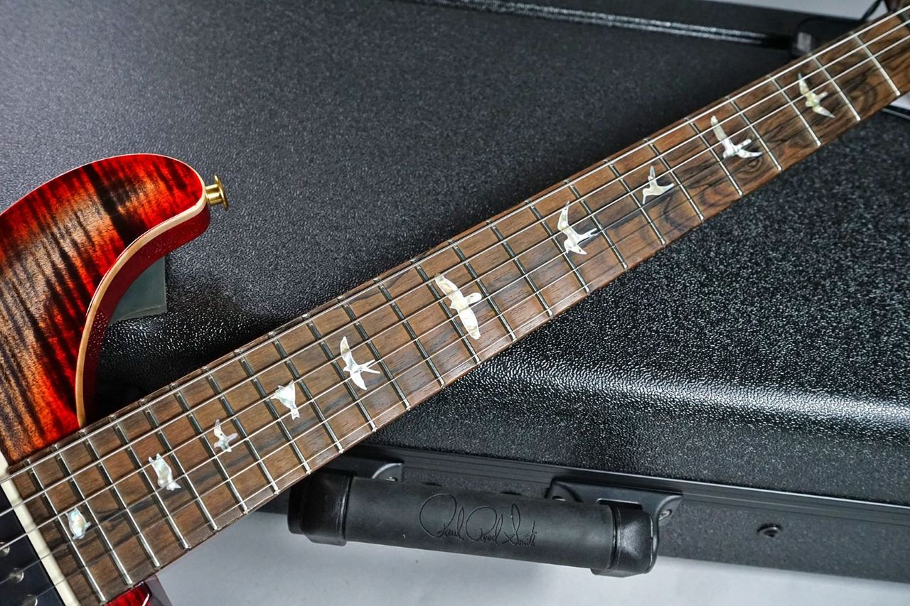 Paul Reed Smith(PRS) 40th Anniversary Custom 24-08 Semi-Hollow