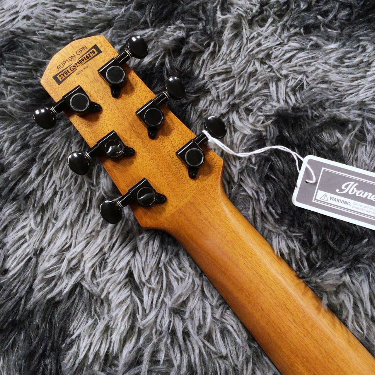 Ibanez AUP10N-OPN (Open Pore Natural) 【2025年NEWモデル】【ミニ