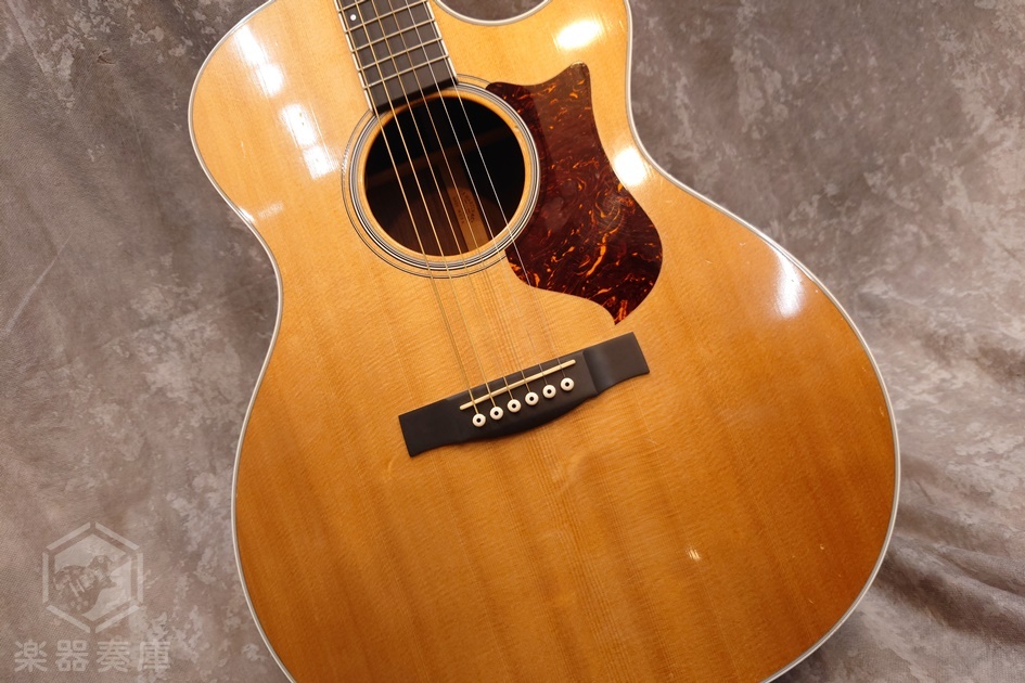 Martin GPCPA3（中古）【楽器検索デジマート】