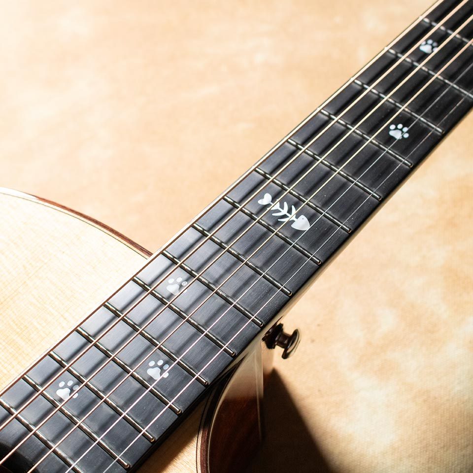 NATASHA CAT（新品/送料無料）【楽器検索デジマート】