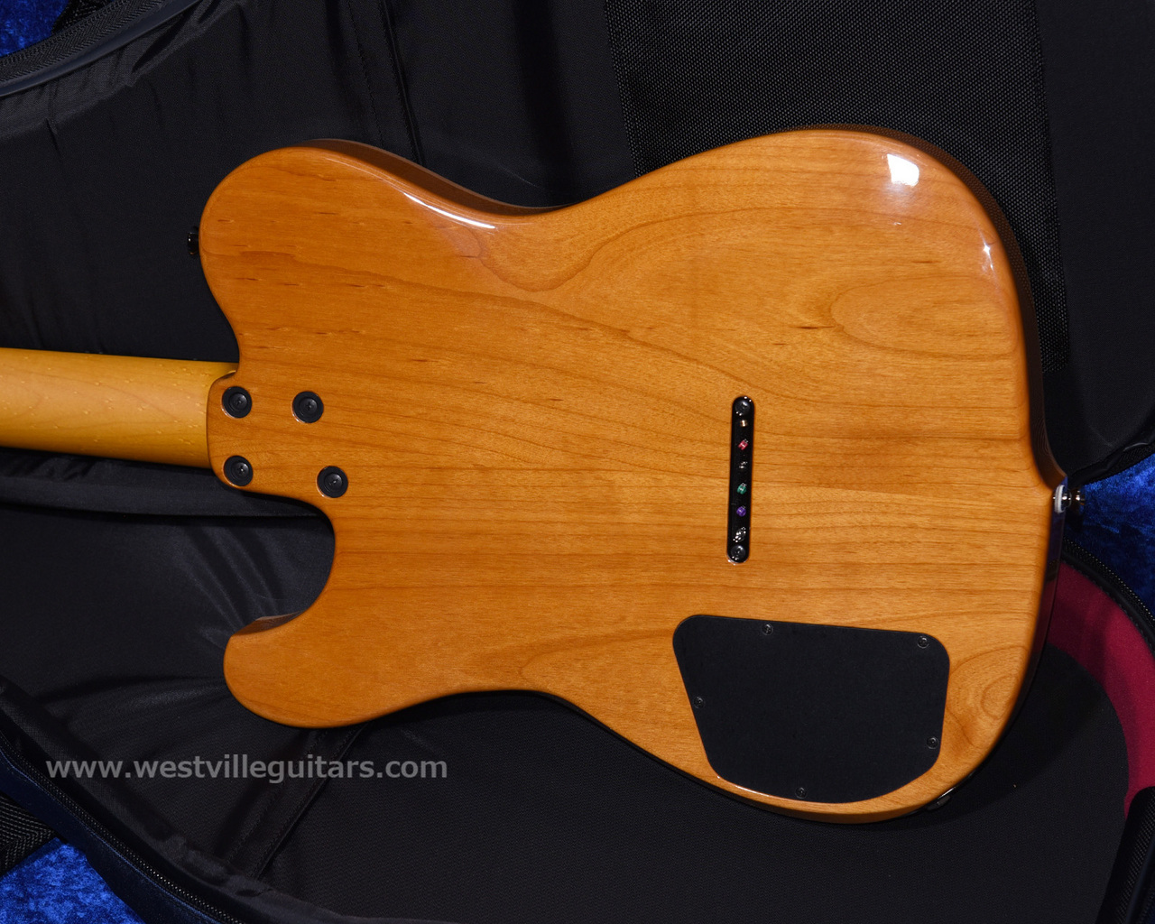 Westville Westel Semi-Hollow (SPR-ALD/C8-AL4)（新品）【楽器検索