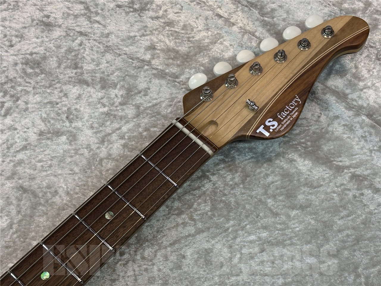 T.S factory 151A-Humanity Type1.0 SDGs Remake2024 #009 (Natural