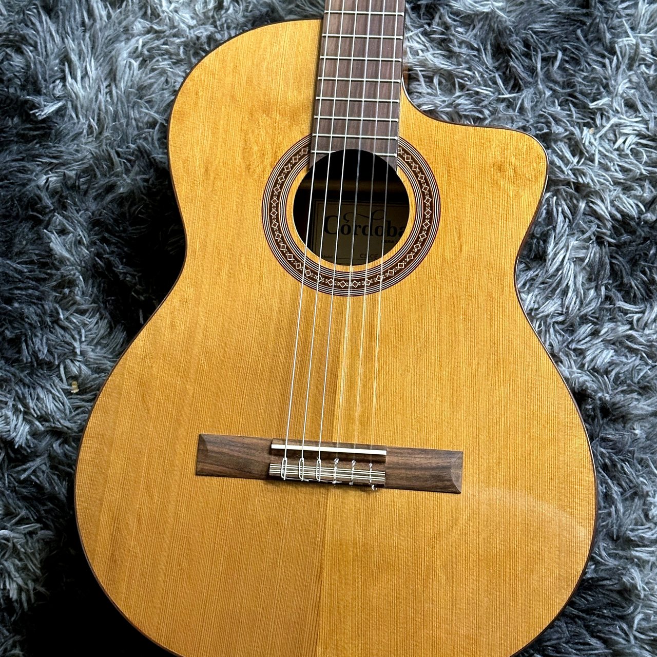 Cordoba C5-CE NAT -IBERIA Series-【特価】【エレガット】（新品特価