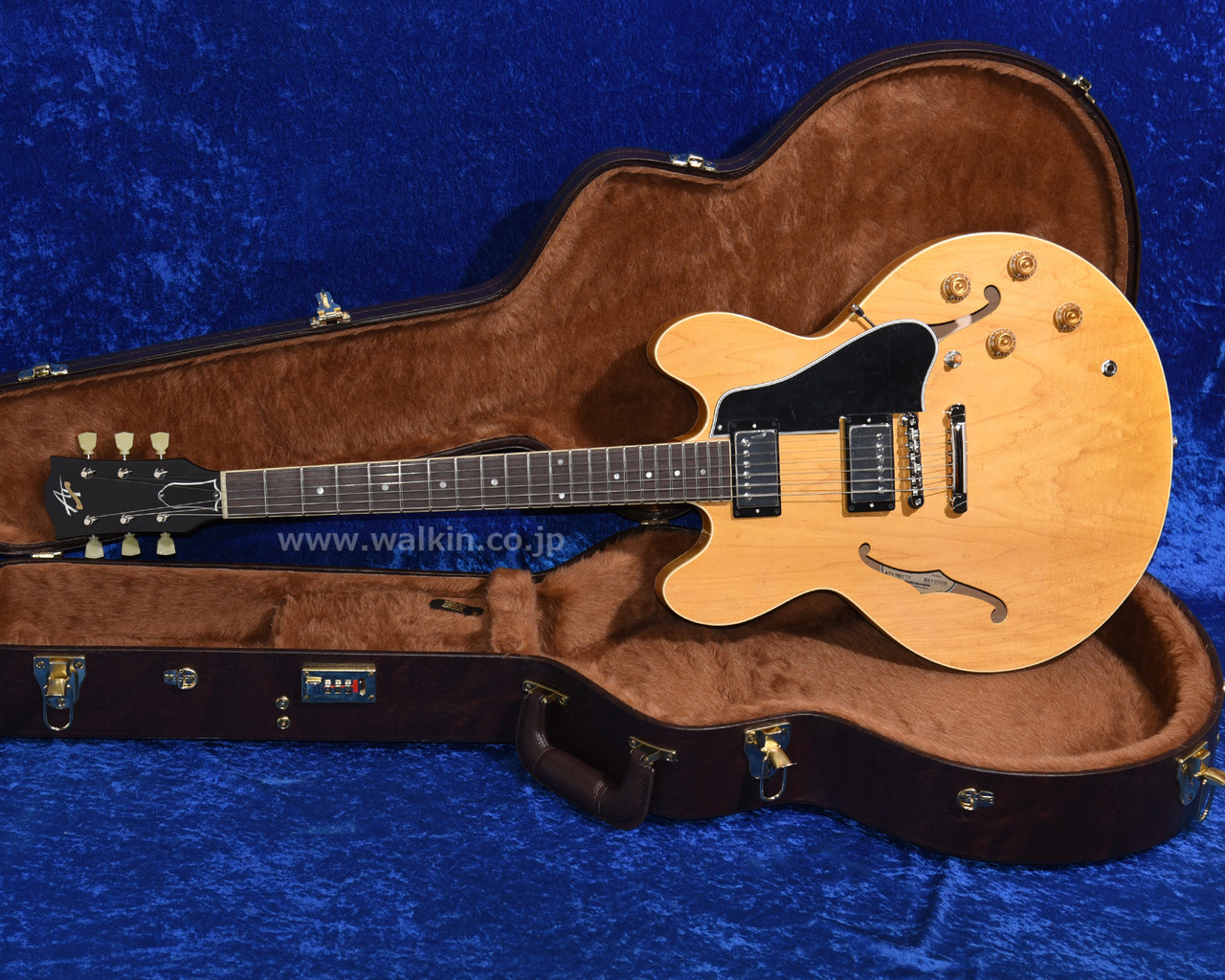 Archtop Tribute AT135STP（新品）【楽器検索デジマート】