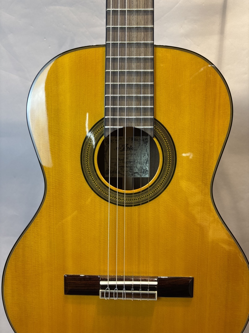 ARIA アコースティックギター ADW-200BS RITTER ソフトケース