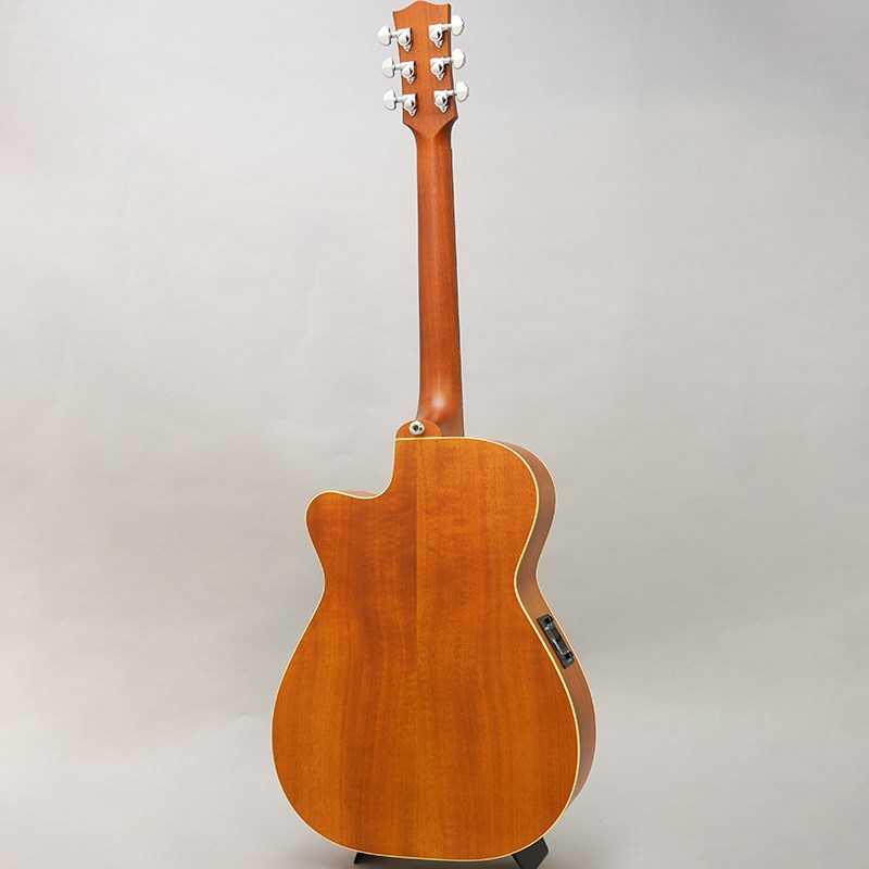 Maton EBG808C TE アコギ美品（ハードケース付き） EBG808CTE | 【クロサワ楽器店オンラインショップ】いい楽器との