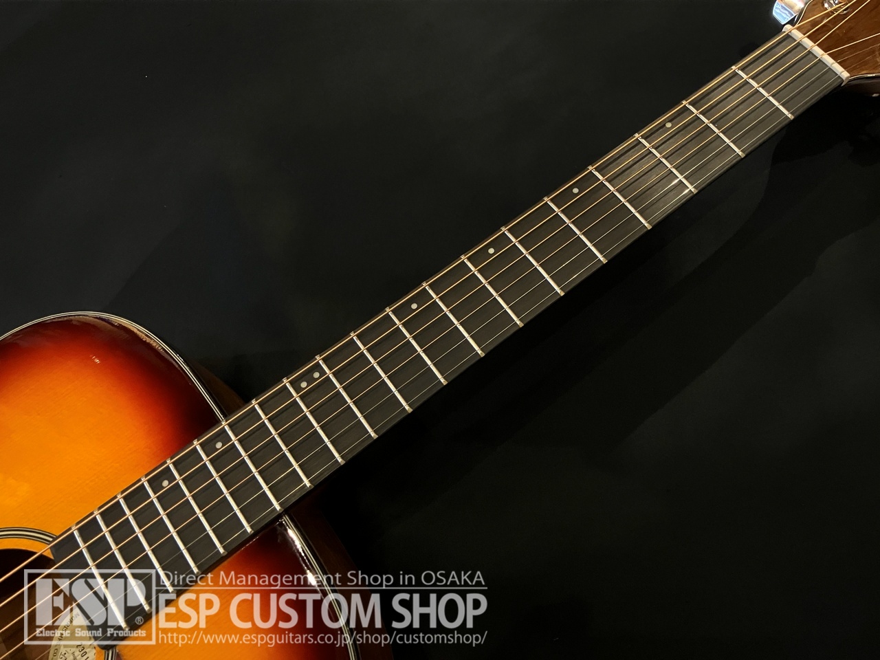 Morris F-025 RBS（新品/送料無料）【楽器検索デジマート】