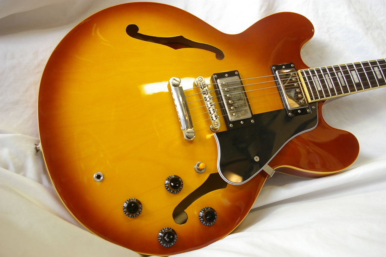 Epiphone ES-335 PRO（中古）【楽器検索デジマート】