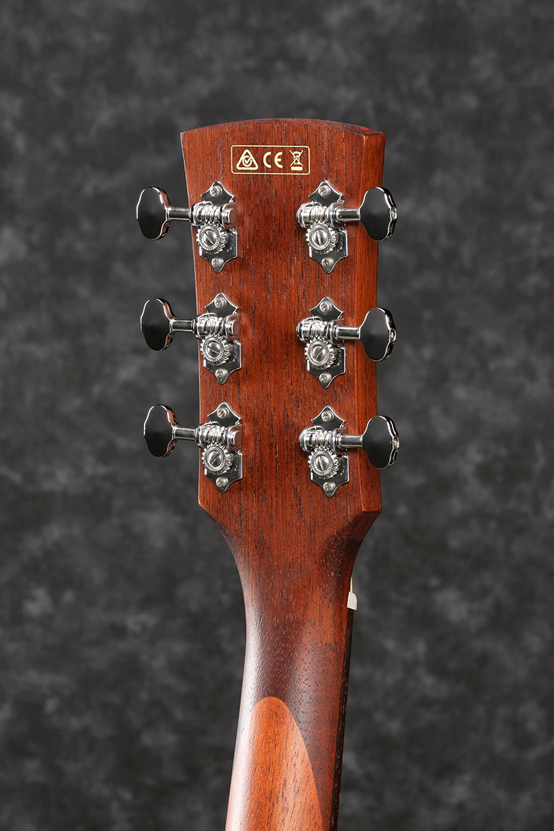 Ibanez PN12MHE OPN (Open Pore Natural) エレアコギター
