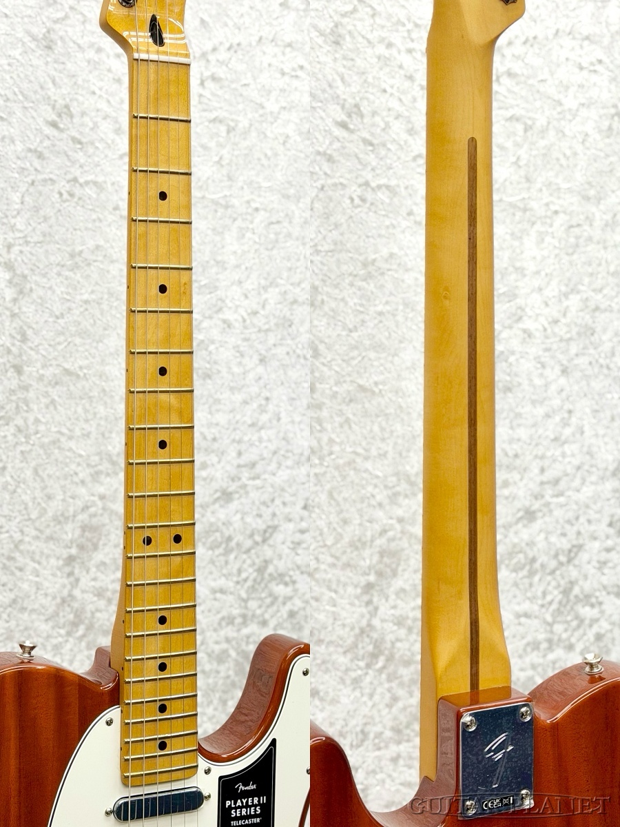Fender Player II Telecaster -Mocha-【チェンバードマホガニーボディ