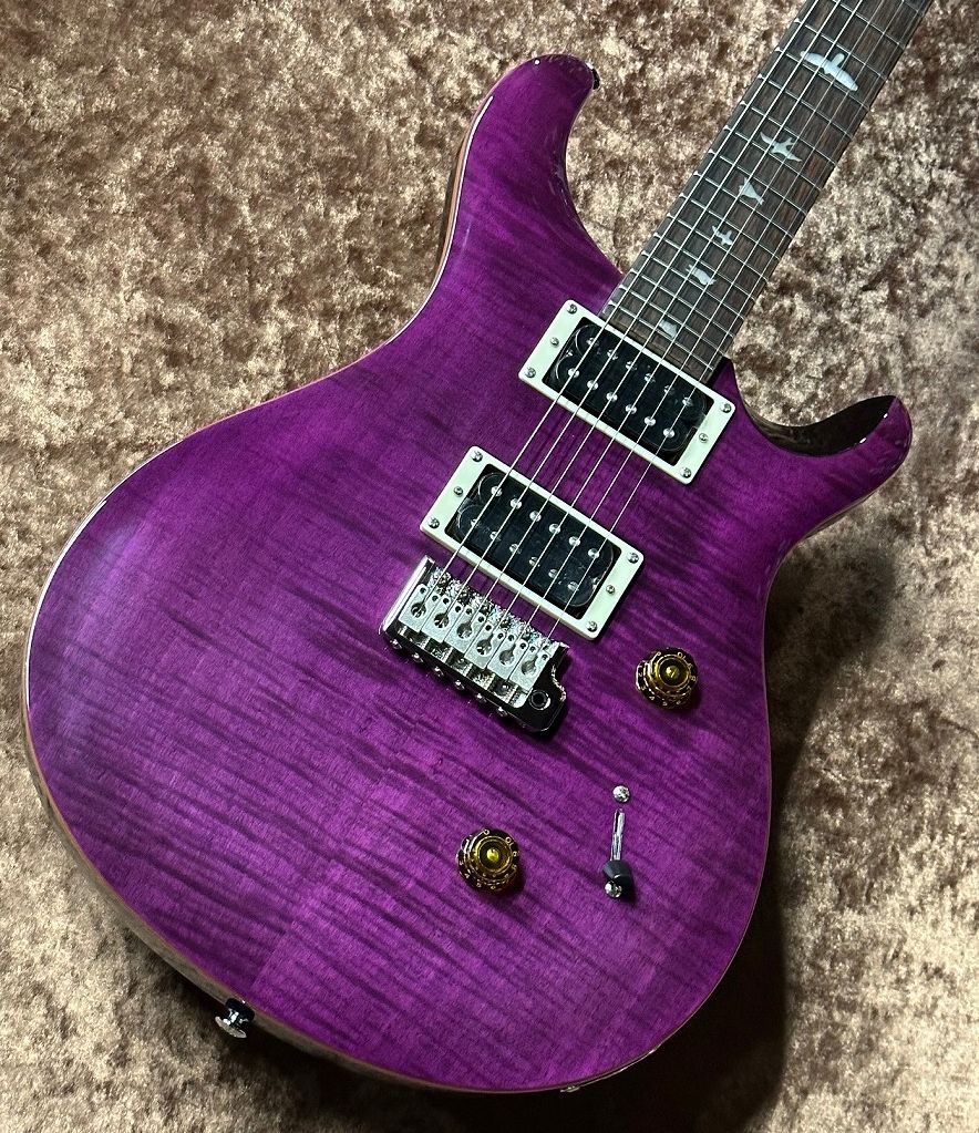Paul Reed Smith(PRS) SE Custom 24 -Amethyst- 2025 Model （新品