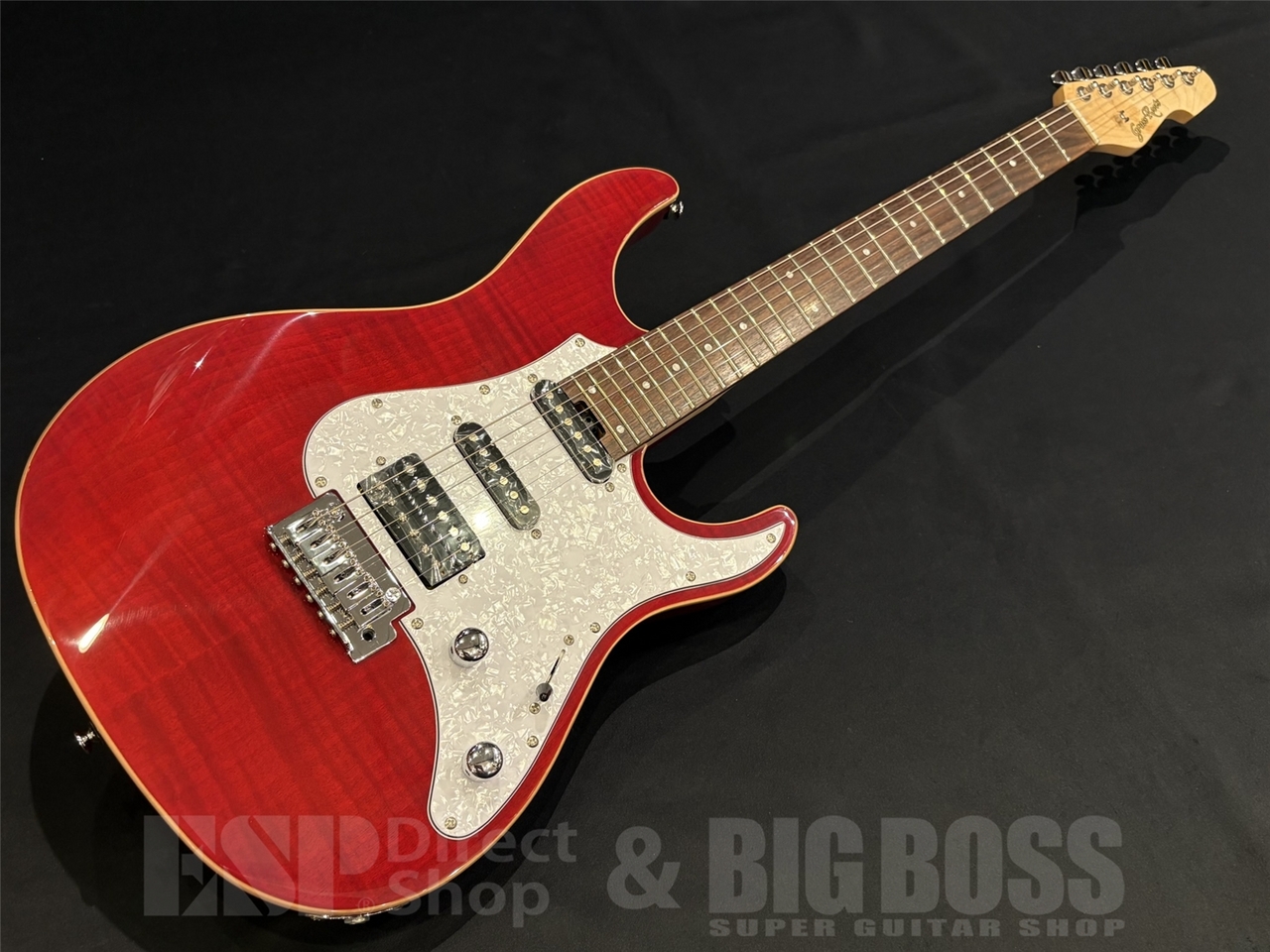 ギター GrassRoots G-SNAPPER-CTM Thru Red GrassRoots G-SNAPPER-CTM/FM See Thru Red （新品/送料無料）【楽器