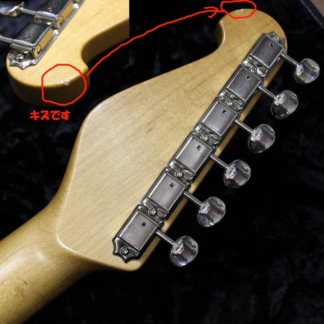 Don Grosh Retro Classic ASH Maple ドン・グロッシュ レトロ