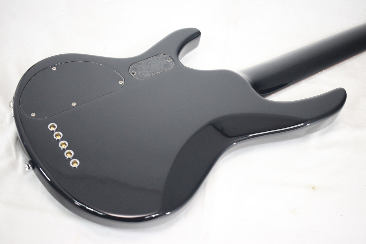 【生産終了モデル】GRASSROOTS G-D5-80 5弦アクティブベース G-D5-80 | ESP GUITARS