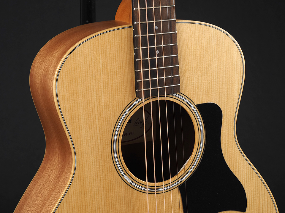 Taylor GS Mini Sapele ~Natural~ 【Torrefied Top 仕様の最新