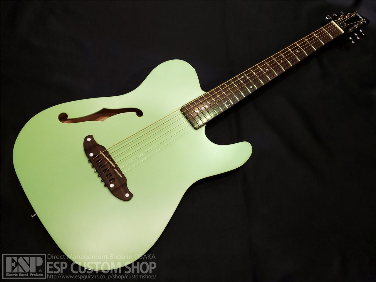 SCHECTER OL-FL SSG（新品/送料無料）【楽器検索デジマート】