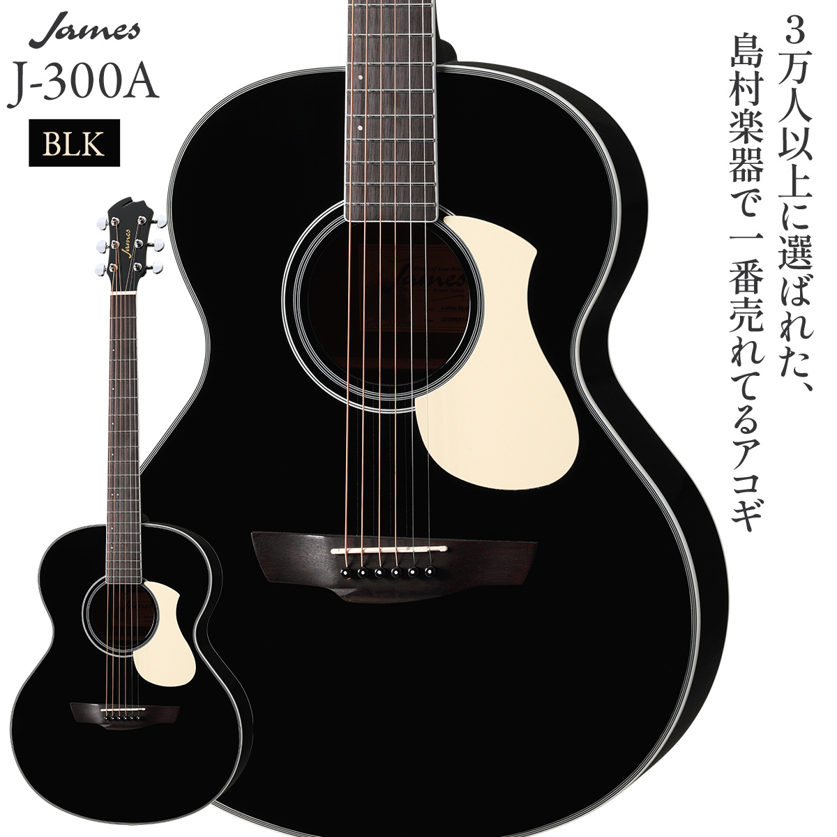 James J-300A Black アコースティックギター oooタイプJ300A（新品