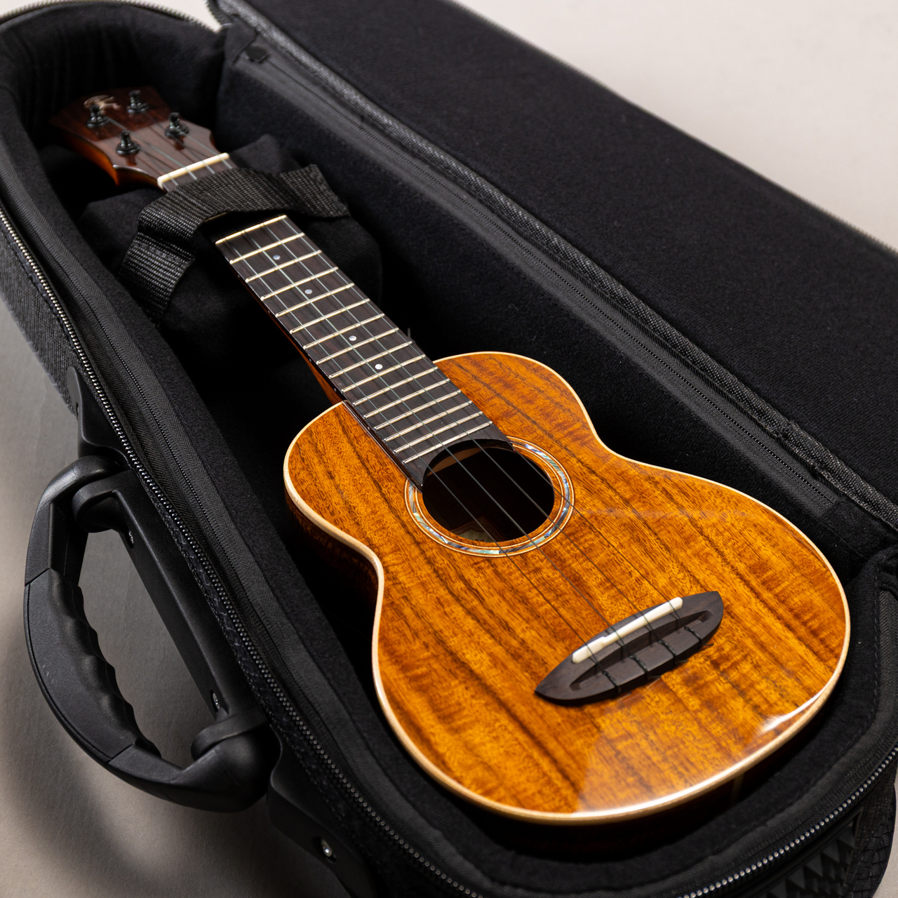 aNueNue aNN-AAA1（新品/送料無料）【楽器検索デジマート】