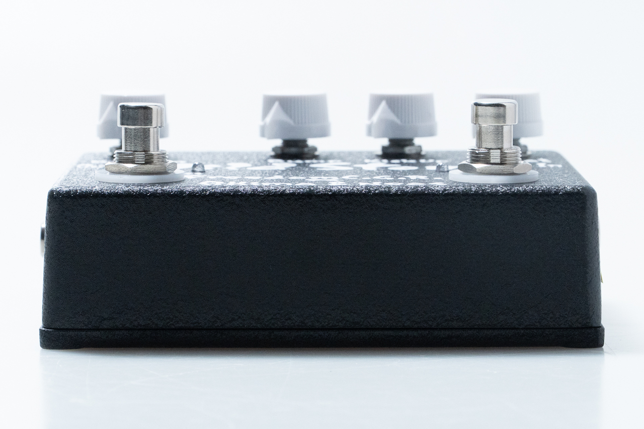 FREEDOM CUSTOM GUITAR RESEARCH Wild Stomp BK【GIB横浜