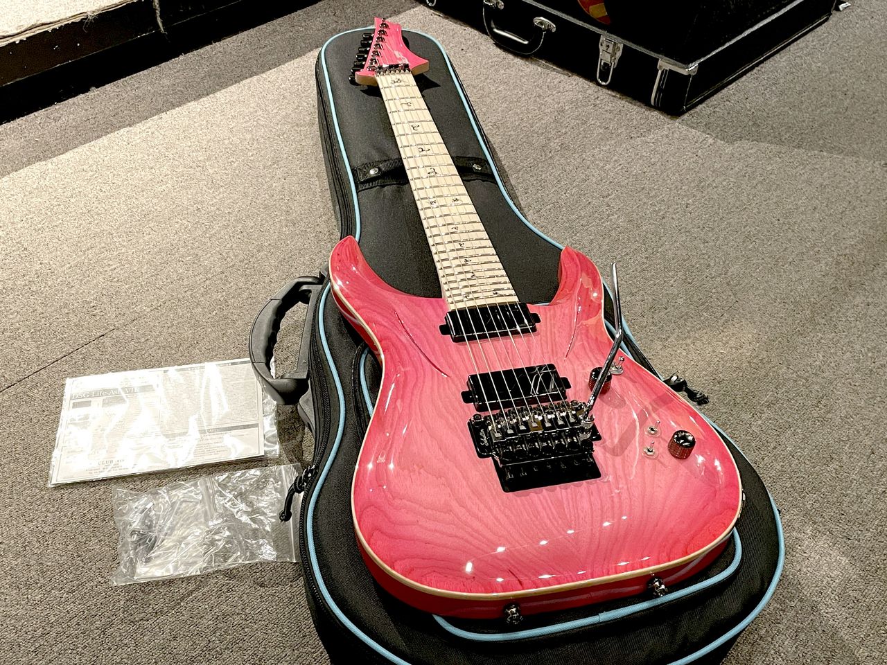 G-Life Guitars DSG Life-Ash VII Geranium Pink Burst（中古