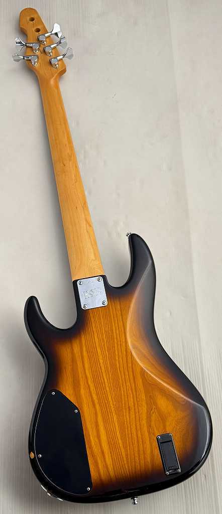 ESP AP SL5 Ash/Rose MOD【USED】（中古）［デジマートSALE］【楽器