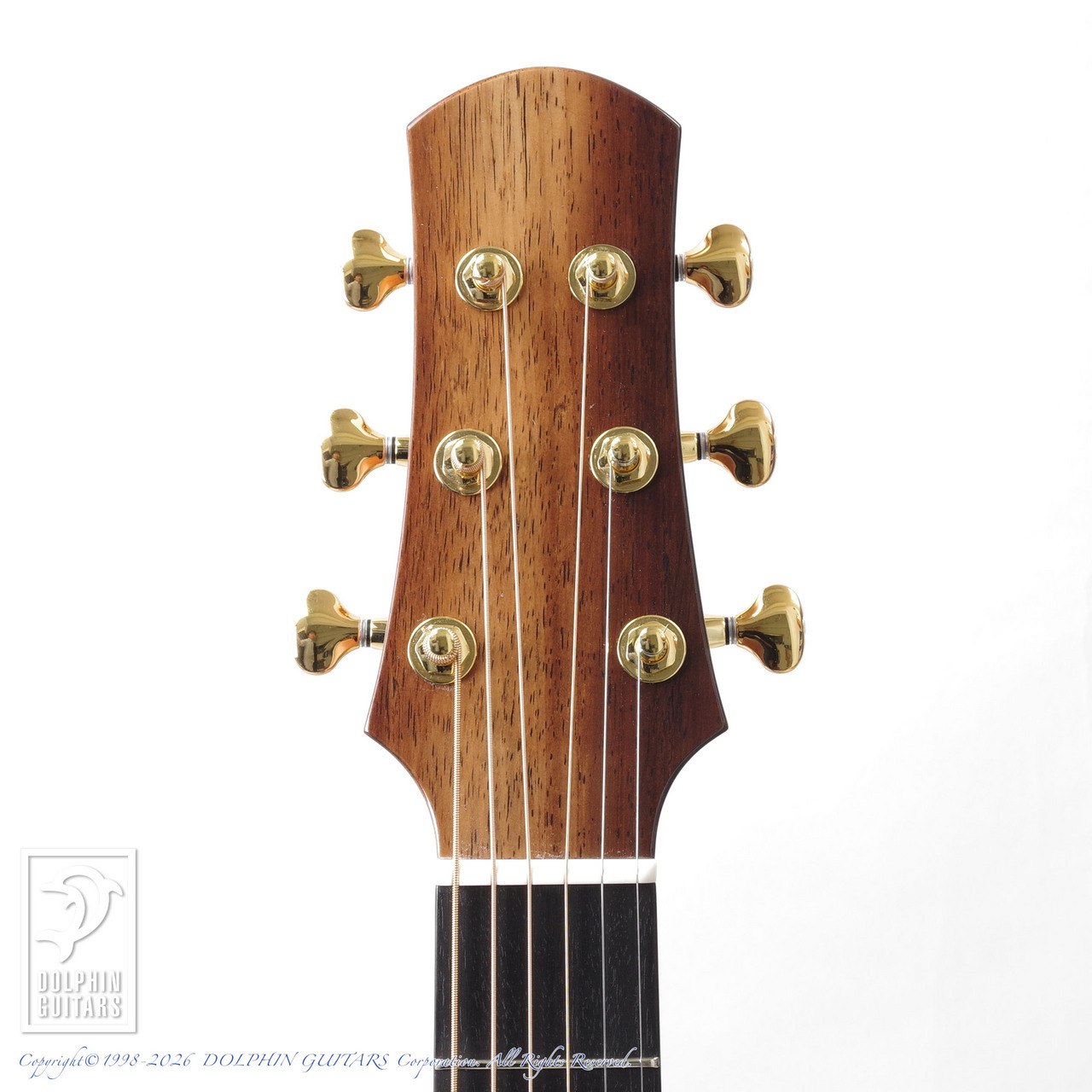 ASTURIAS Grand Solo Premio SR（新品）【楽器検索デジマート】