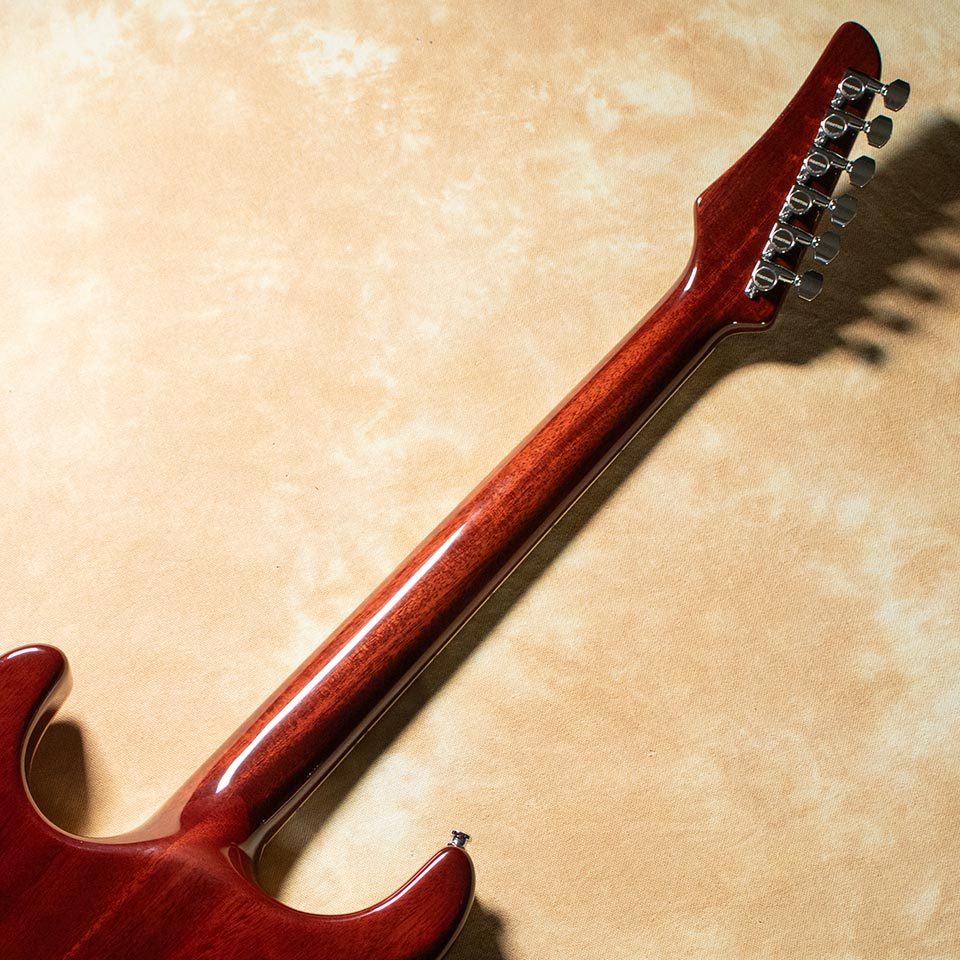 Combat ST-WARM Ice Tea Burst w/Curtis Novak（新品）【楽器検索