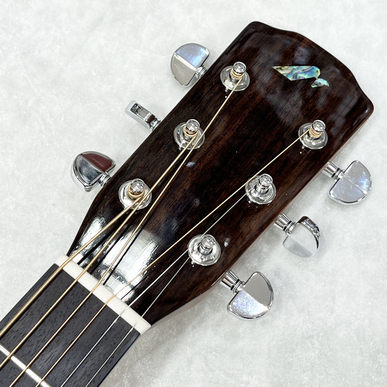 ギター MORRIS M-80 M-80 II | HAND MADE PREMIUM | MORRIS GUITARS モーリスギター