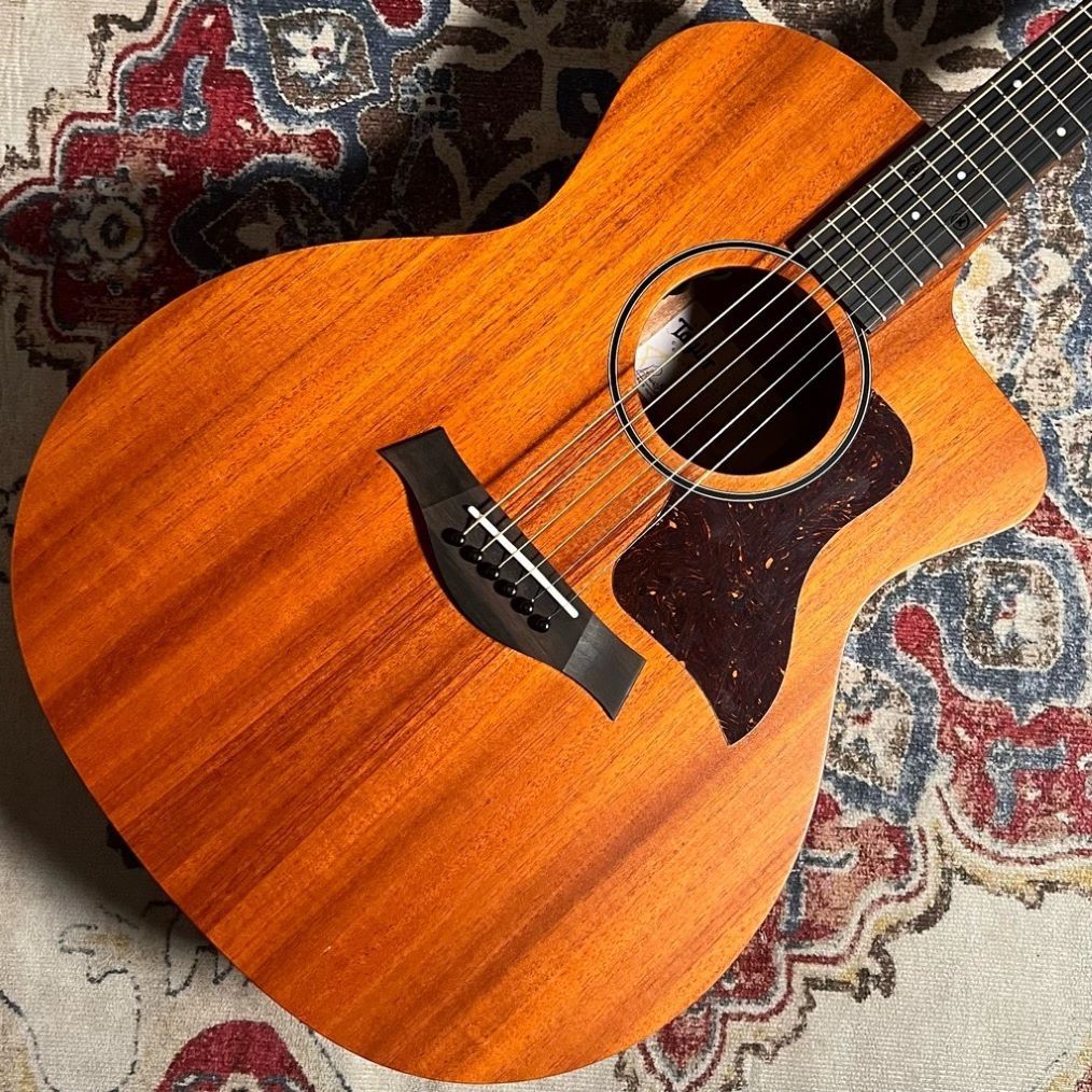 Taylor 24ce（新品特価/送料無料）【楽器検索デジマート】