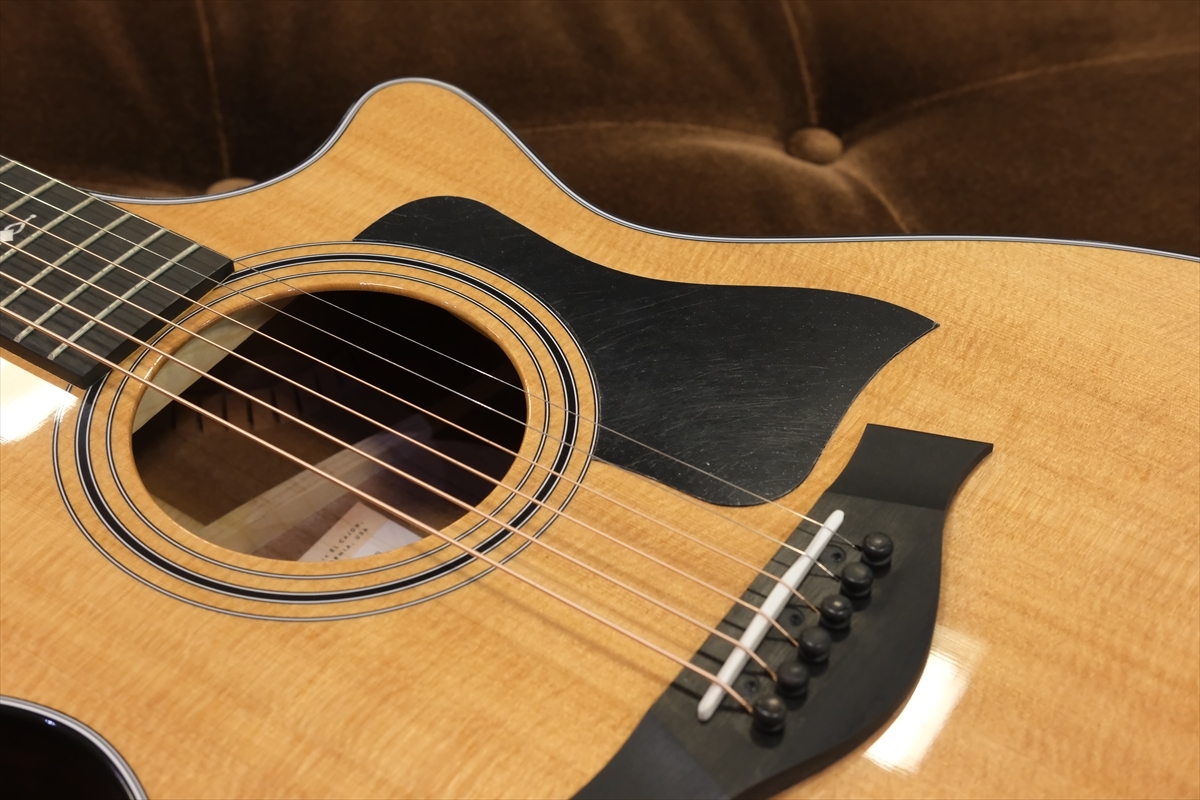 Taylor 312ce（新品特価/送料無料）【楽器検索デジマート】