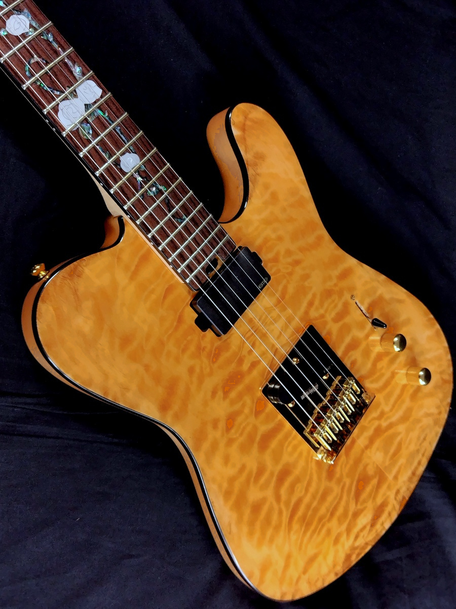 Aria Pro II TEG-780 N (Natural)（B級特価）【楽器検索デジマート】