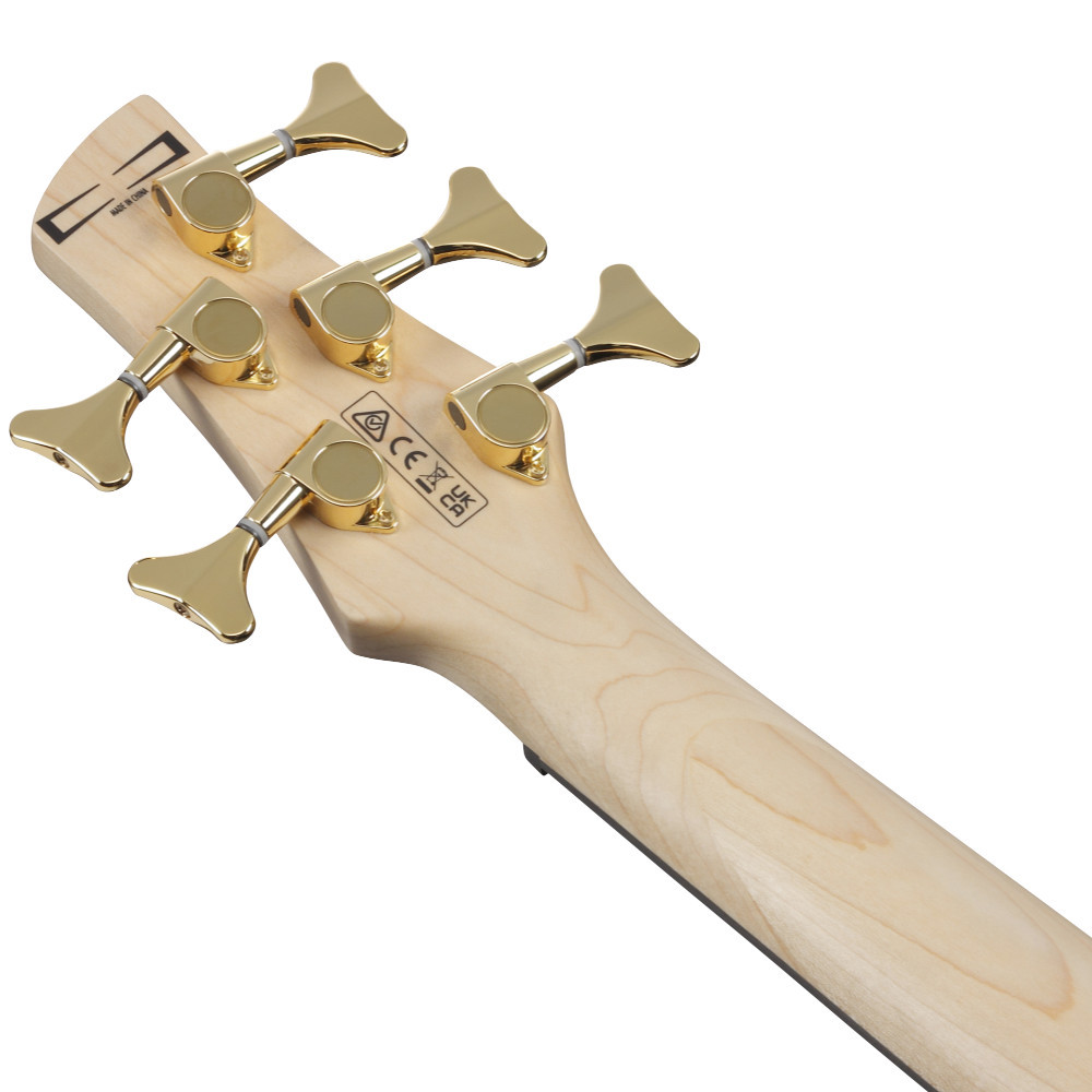 Ibanez アイバニーズ GSR205PC-TMU Gio Transparent Marine Burst 5弦