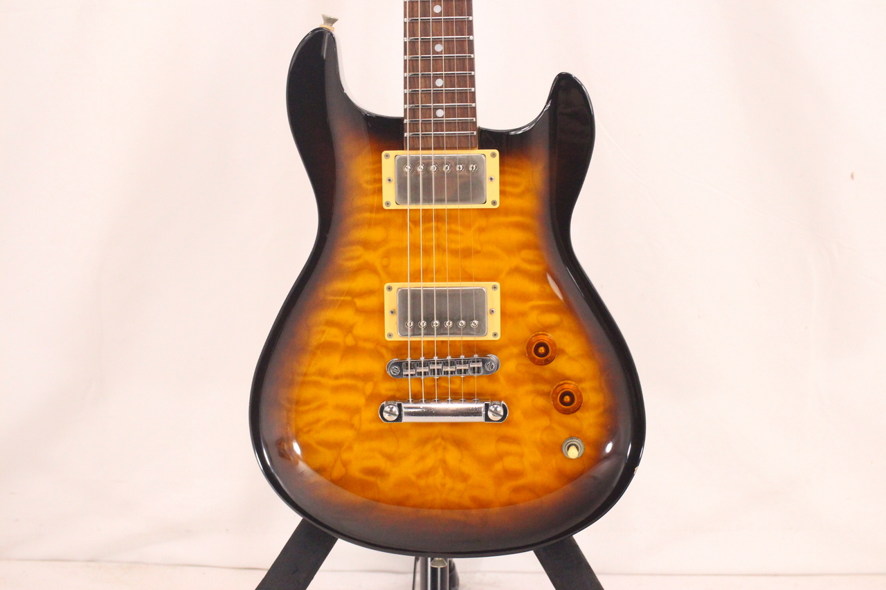 Fernandes＊APG-100 魔改造 なとり音造GAV MOD FERNANDES APG-100