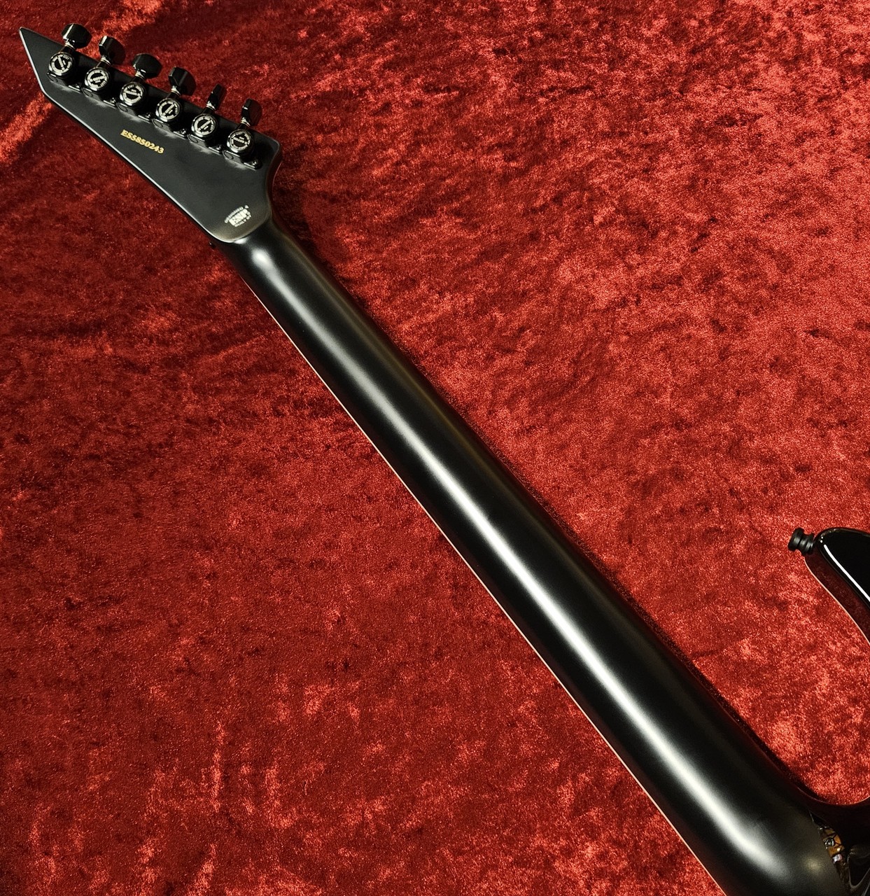 E-II HORIZON FR-II -See Thru Black Cherry Sunburst-（新品/送料無料