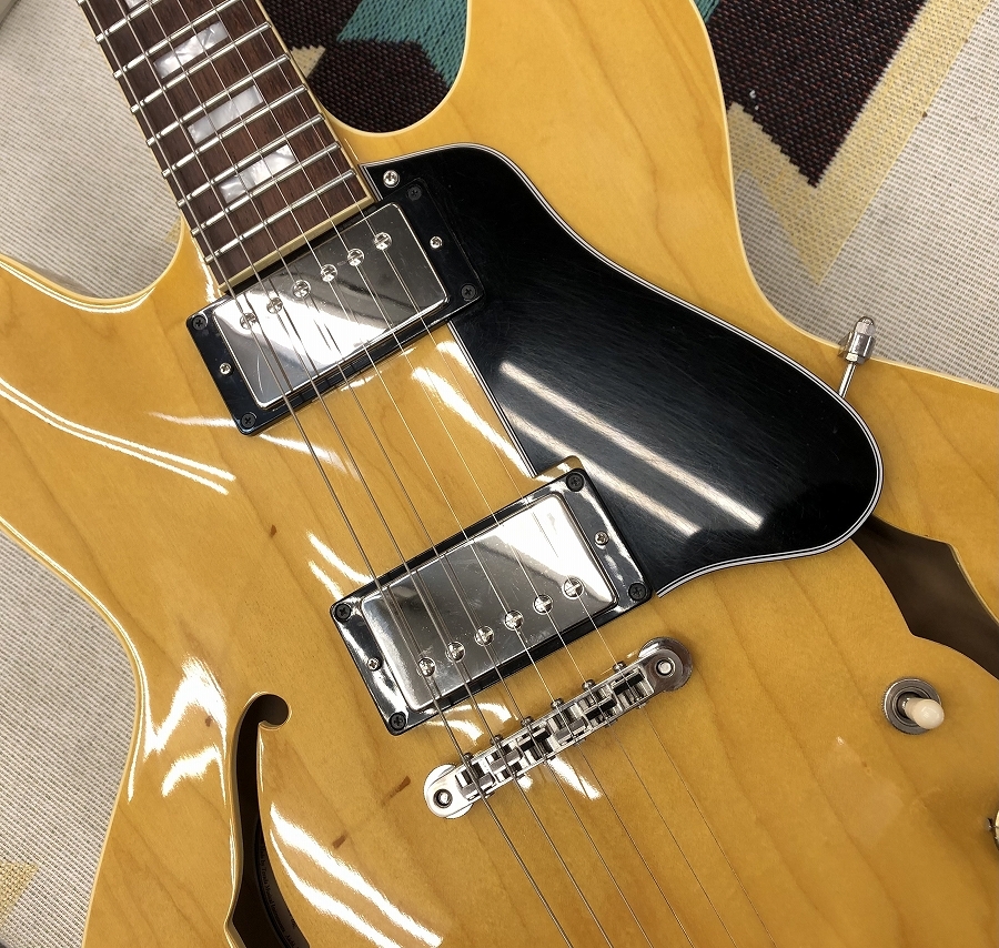 Archtop Tribute AT135TTP 【中古/ご委託品】【2017年代】（中古 