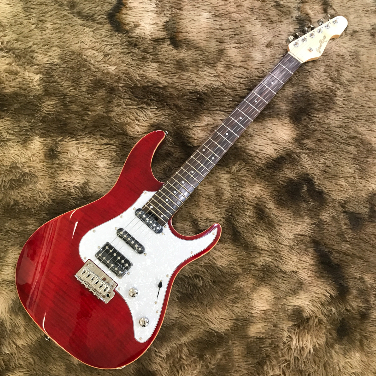 GrassRoots G-SNAPPER-CTM See Thru Red（新品/送料無料）【楽器検索