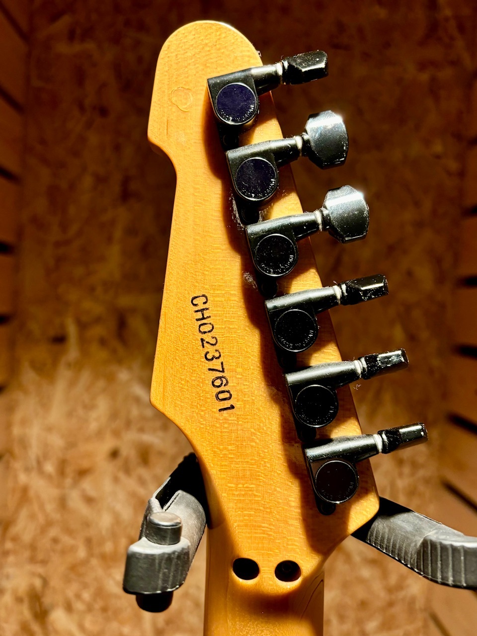 ESP TL type カスタムオーダー【尾張一宮店】（中古）【楽器検索