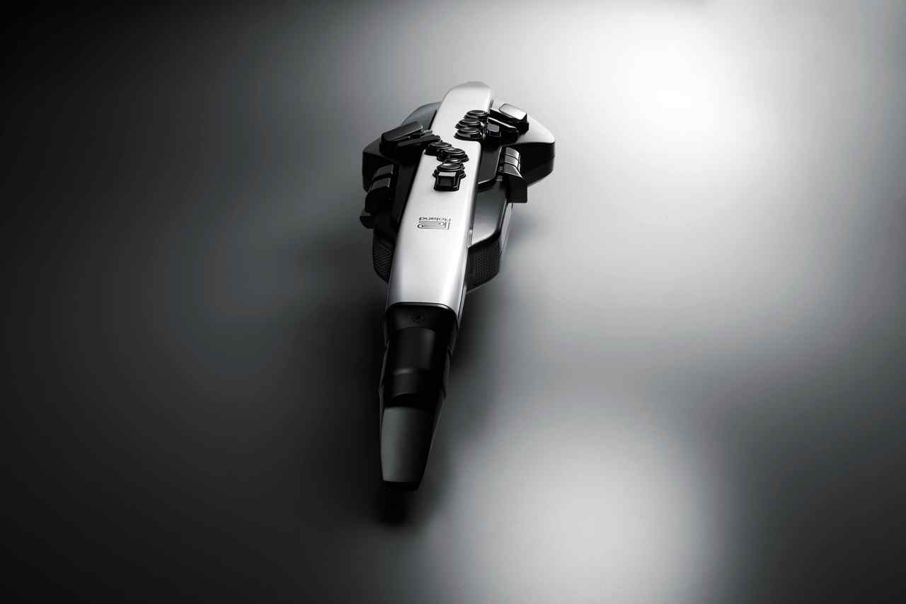 Roland AE-20 Aerophone ウインドシンセサイザー 電子管楽器（新品