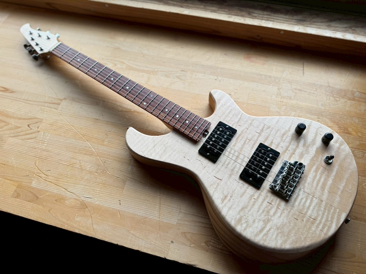 Nishgaki Guitars Amnis Novus Shibasaki Hiroshi Specs（新品