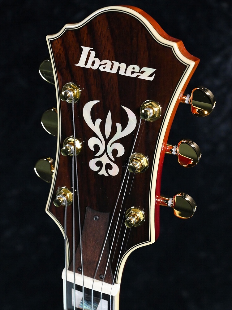 Ibanez AF115-AWB(Aged Whiskey Burst)《2.95kg》【オンラインストア