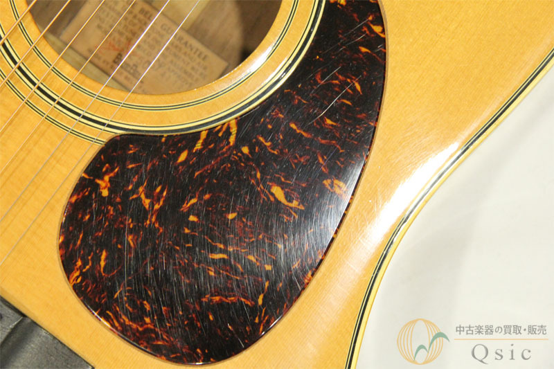 BlueBell W-250 【返品OK】[OL498]【神戸店在庫】（中古）【楽器