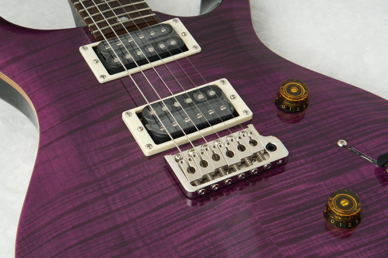【アメジストページ】 Paul Reed Smith(PRS) 2024 SE CUSTOM 24 ～Amethyst～ #CTIG118907