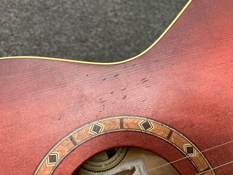 Art Luterie Ami ギター　中古　オマケ　ギタースタンド付き Art&Lutherie AMI SPRUCE（中古）【楽器検索デジマート】