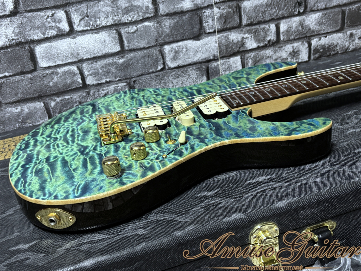 FREEDOM CUSTOM GUITAR RESEARCH Hydra 2Point 24F Premium