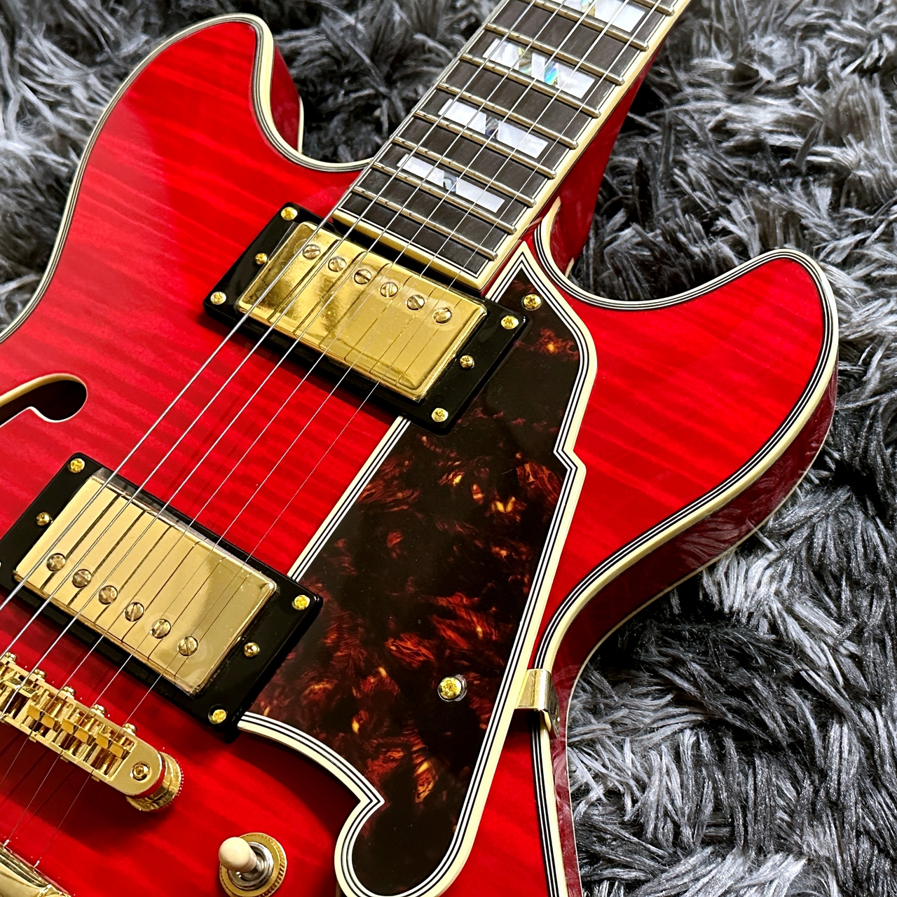 D'Angelico Excel Mini DC Trans Cherry【アウトレット特価